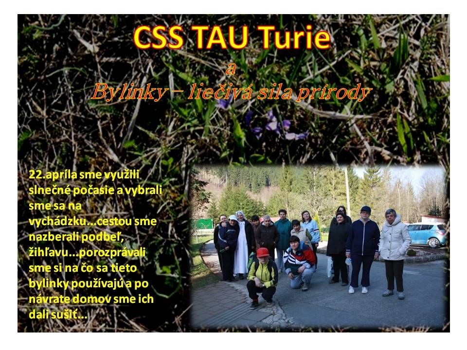 4313-CSS-TAU-Turie-Bylinky-lieciva-sila-prirody.jpg