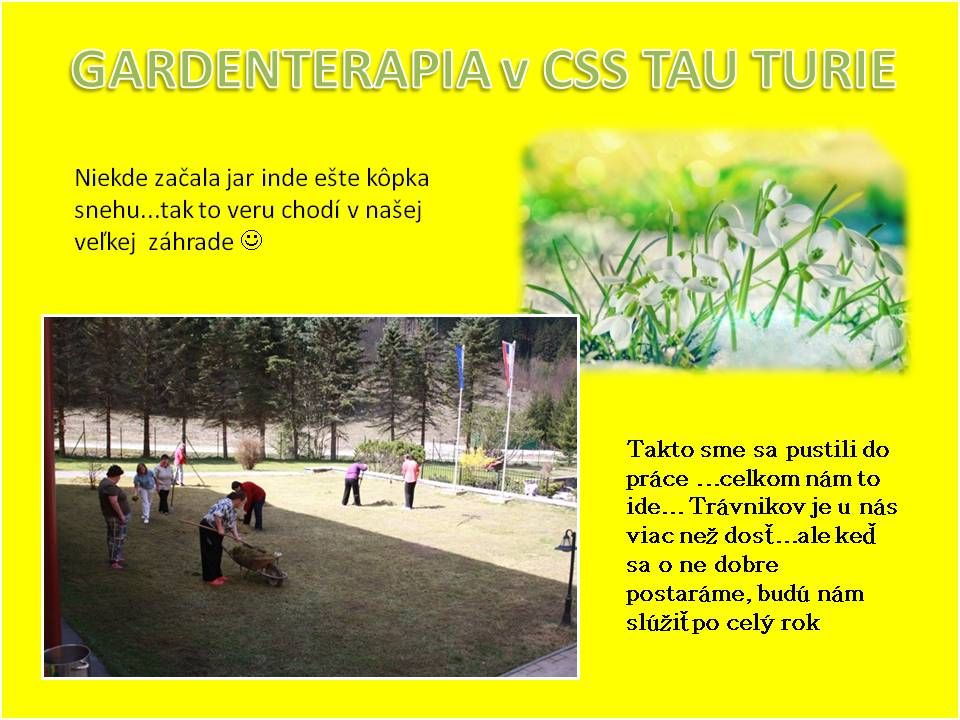 4307-CSS-TAU-Turie-Gardenterapia.jpg