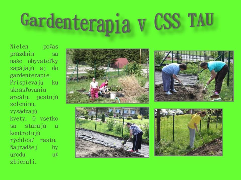 696-Gardenterapia-v-CSS-TAU.jpg