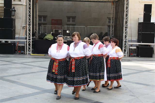 477-Dni-dobrovolnictva-2.jpg