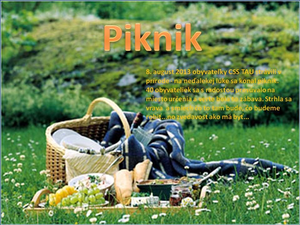 1650-piknik.jpg