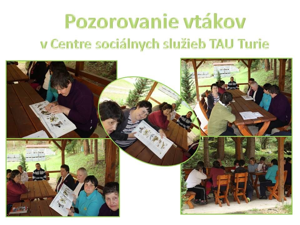 4339-CSS-TAU-Turie-Pozorovanie-vtakov-a-prirody.jpg