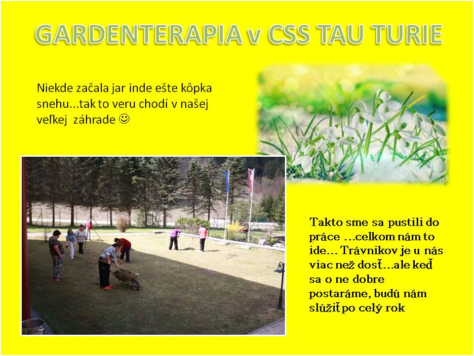 gardenterapia-v-css-tau00000944