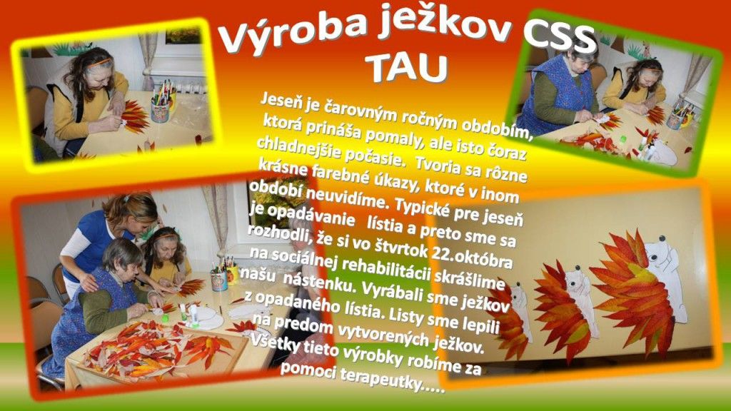 5299-CSS-TAU-jezkovia-SR-PwP.jpg