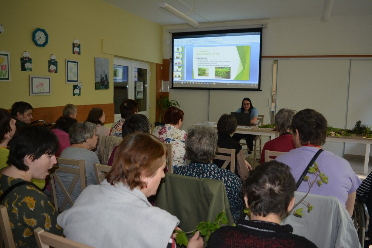 den stromov april 6 .jpg