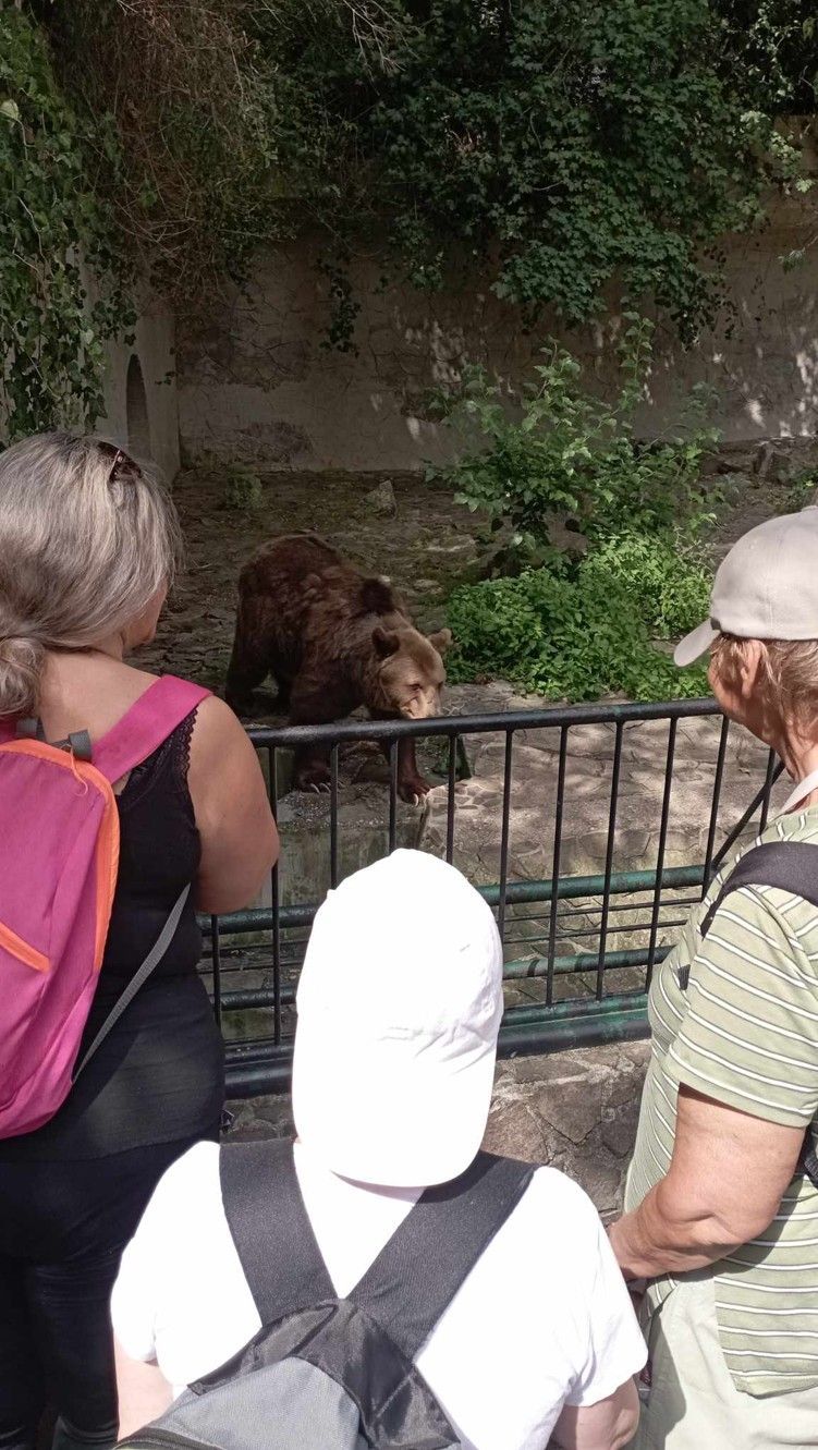 zoo bratislava 9 .jpg