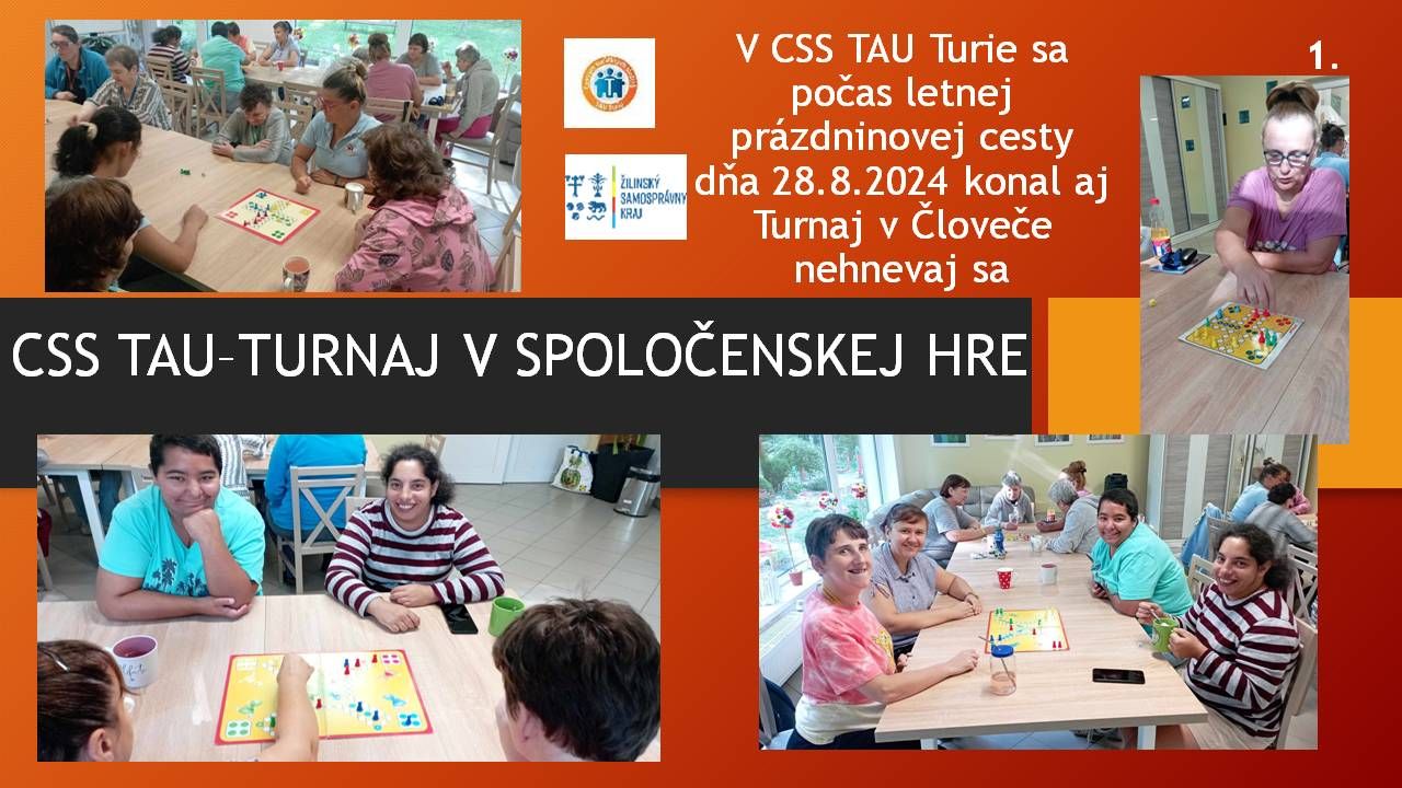turnaj v spolocenskej hre.jpg
