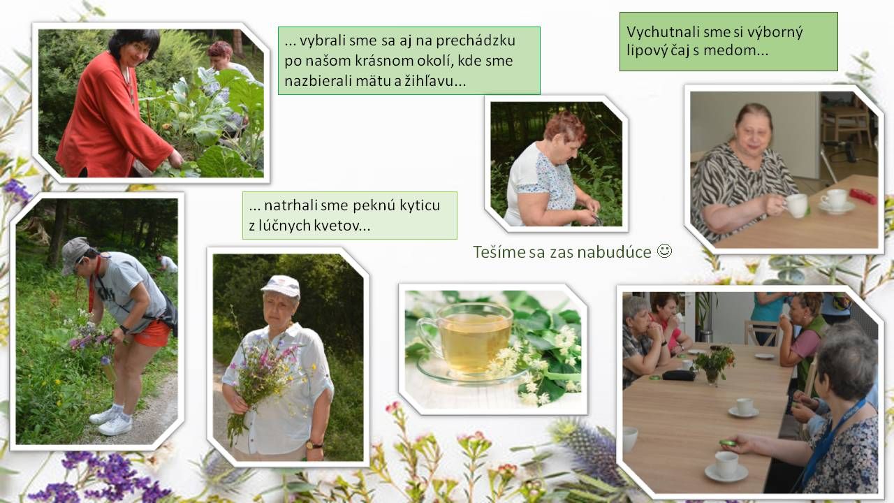 reminiscen n terapia bylinky 2.jpg