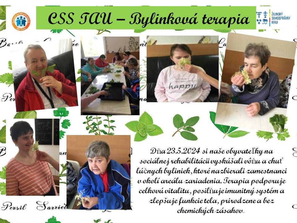 17 bylinkova terapia.jpg