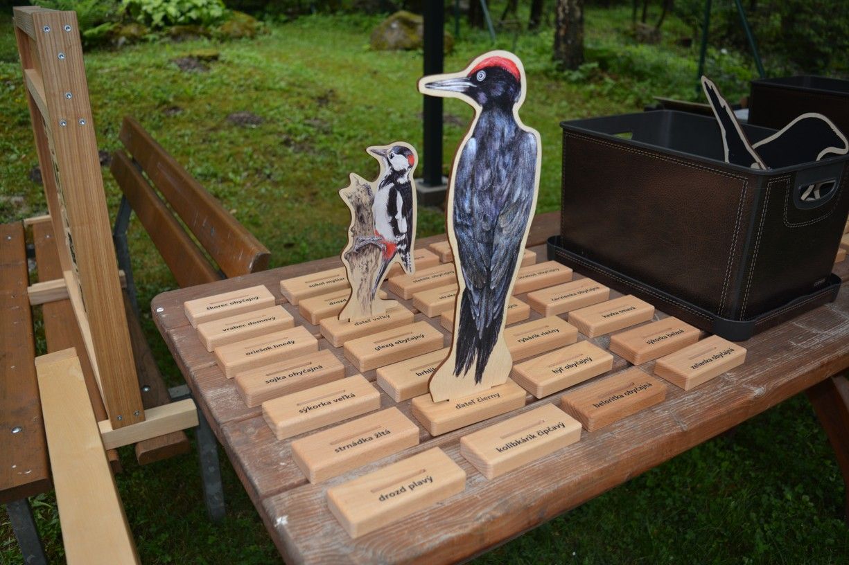 mini zoo v css tau 51 .jpg