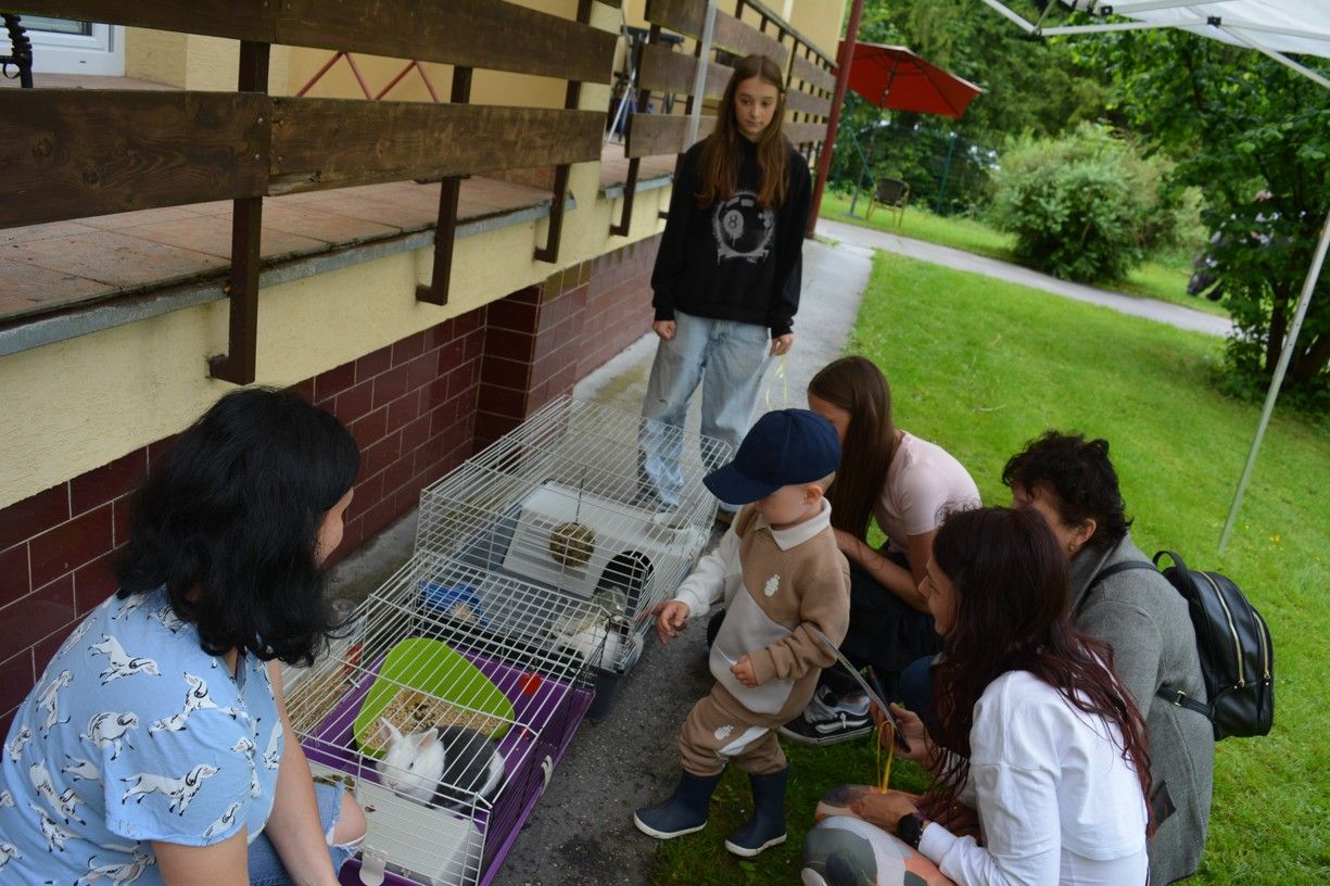 mini zoo v css tau 55 .jpg