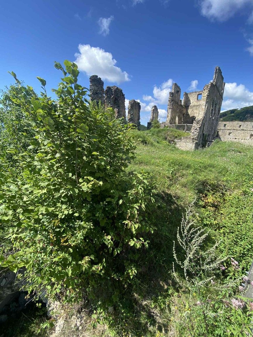 povazsky hrad turistika 13 .jpg