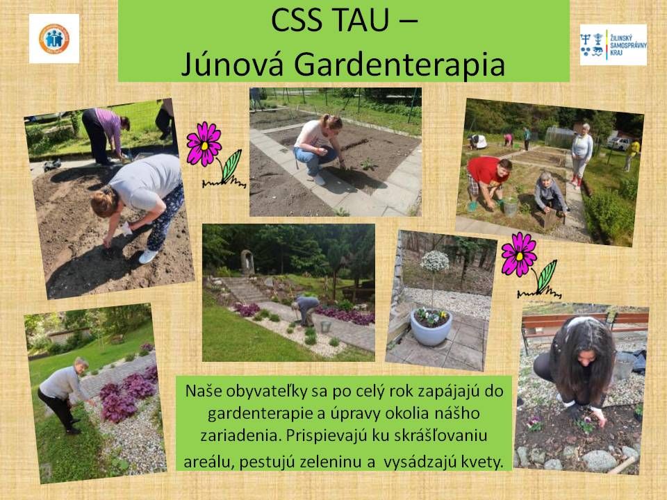 css tau gardenterapia.jpg