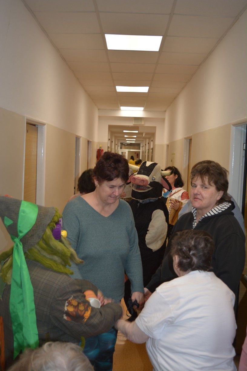 fasiangovy sprievod v css tau 4 .jpg