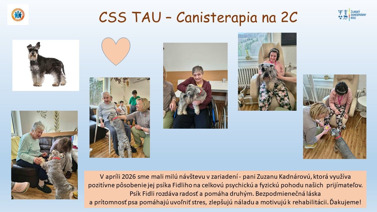 04 04 2026 canisterapia psb 2.jpg