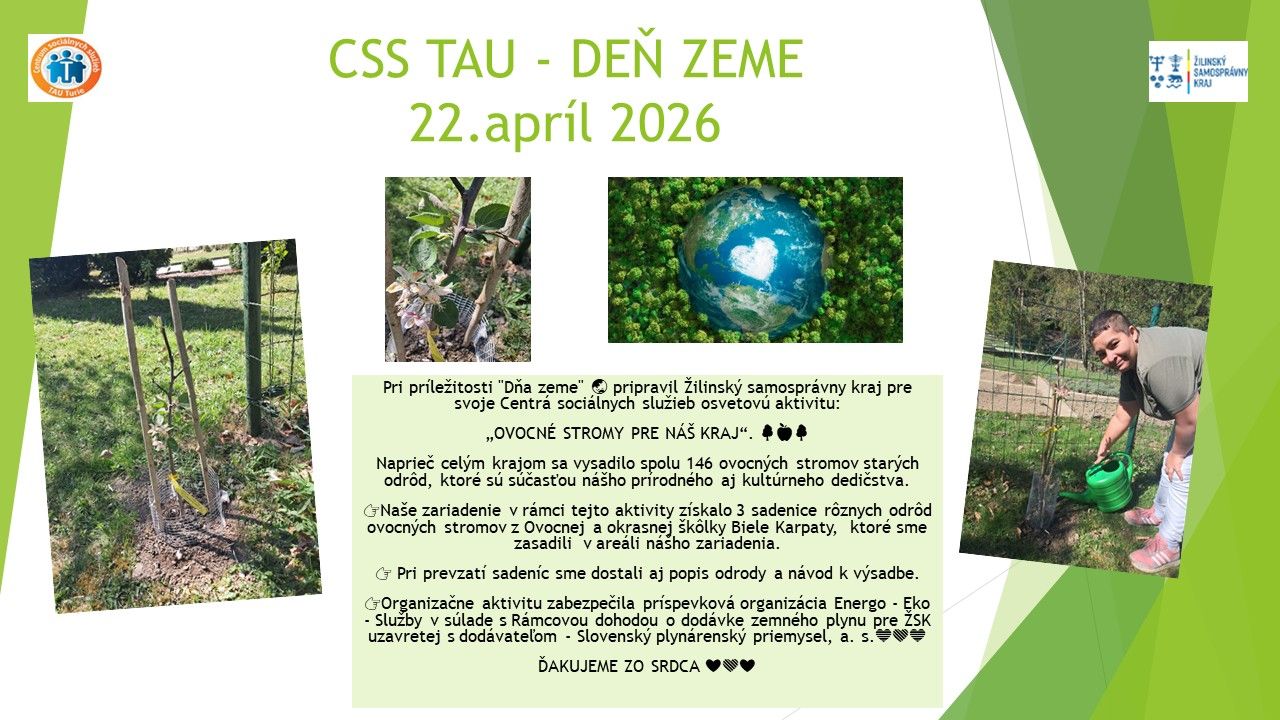 den zeme.jpg