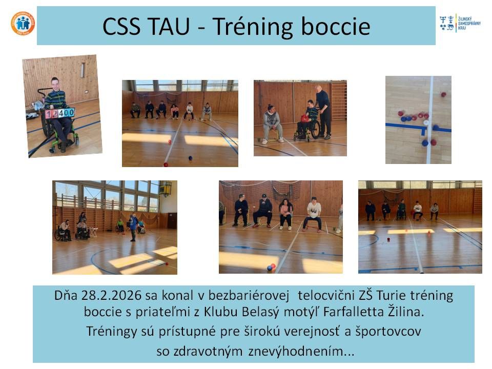 css tau tr ning boccie.jpg