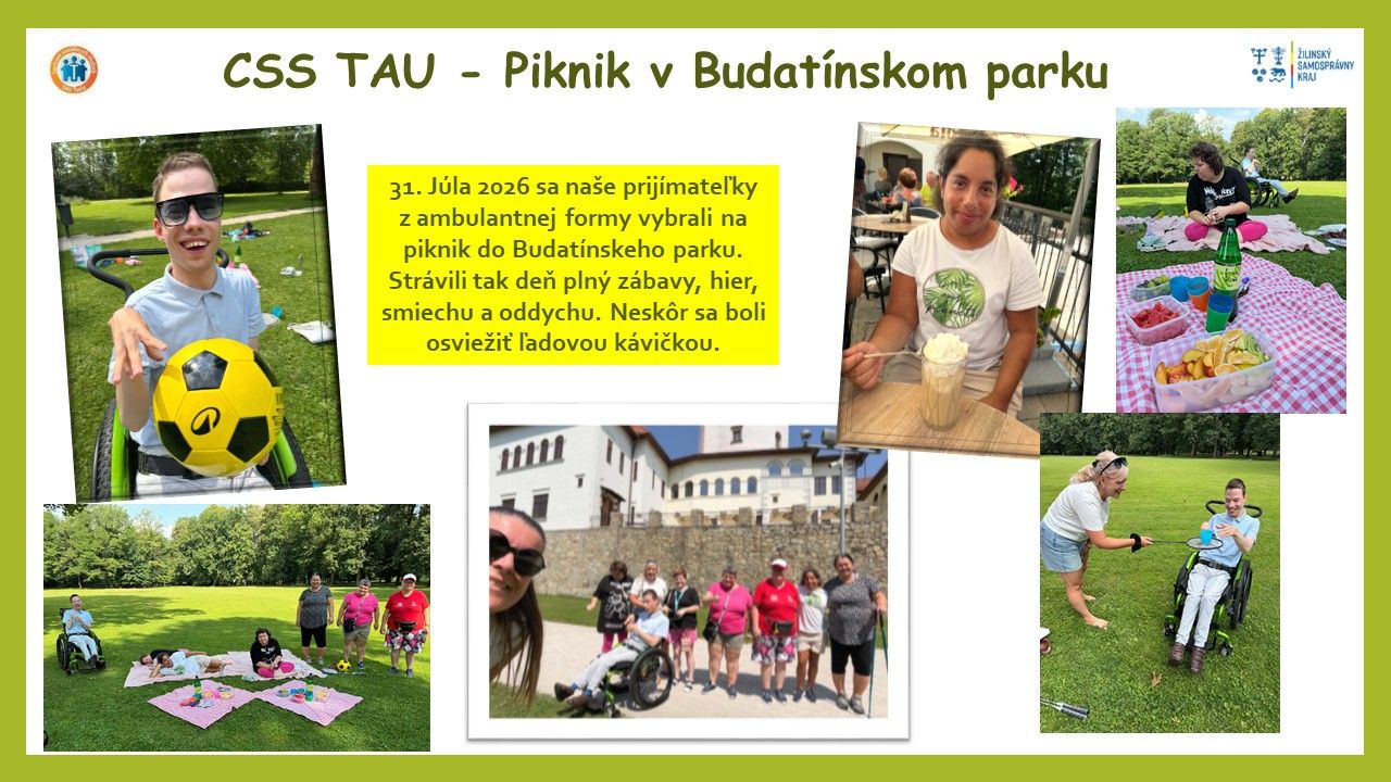 31 07 2026 piknik budatinsky park af.jpg