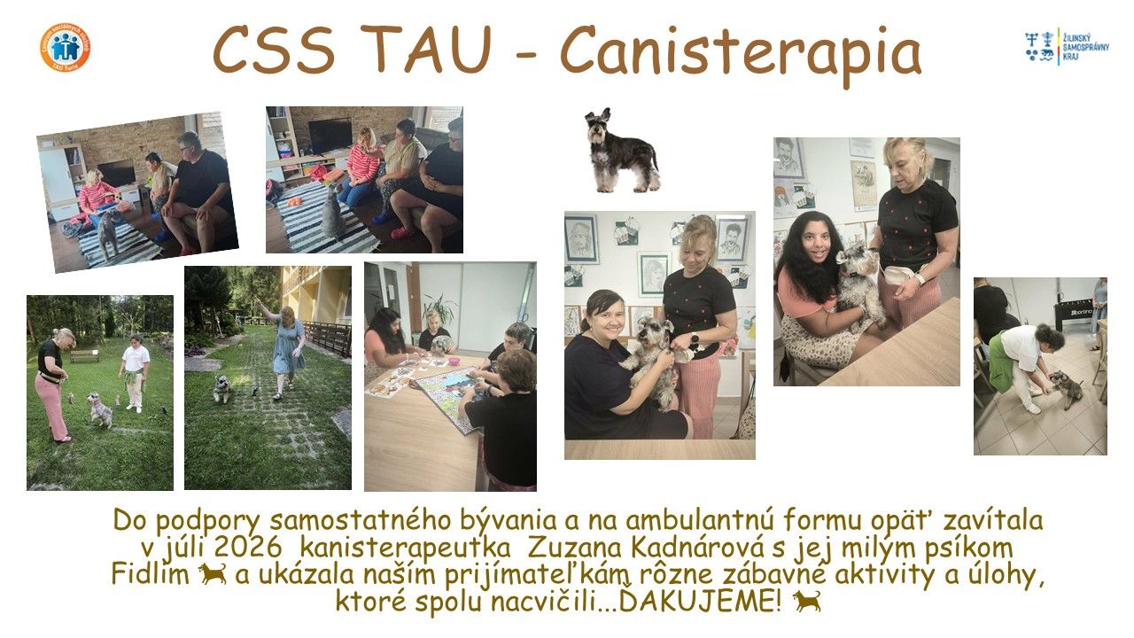 css tau canisterapia.jpg