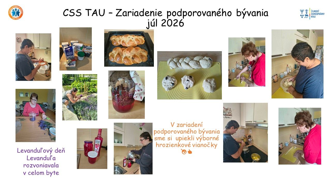 css tau zariadenie podporovan ho b vania.jpg
