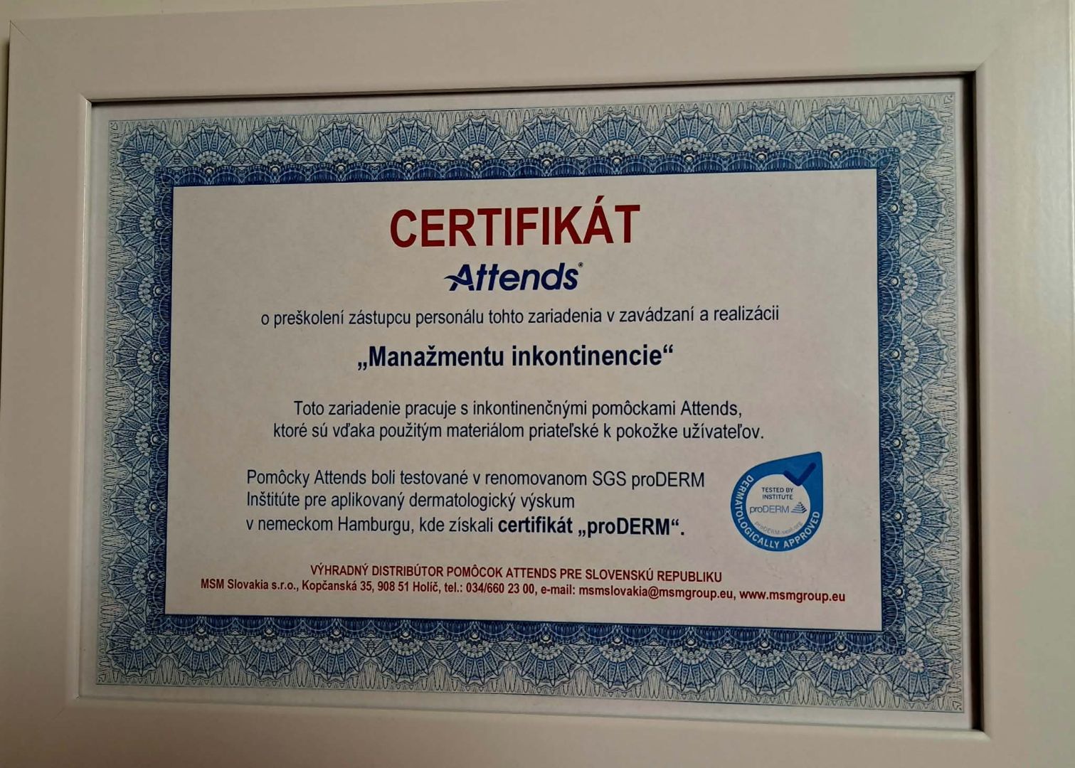 certifik t 2.jpg