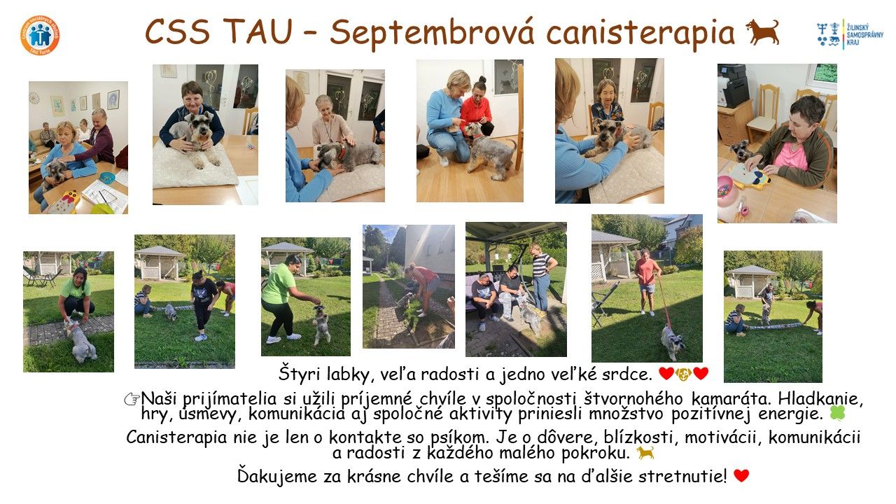 css tau canisterapia .jpg