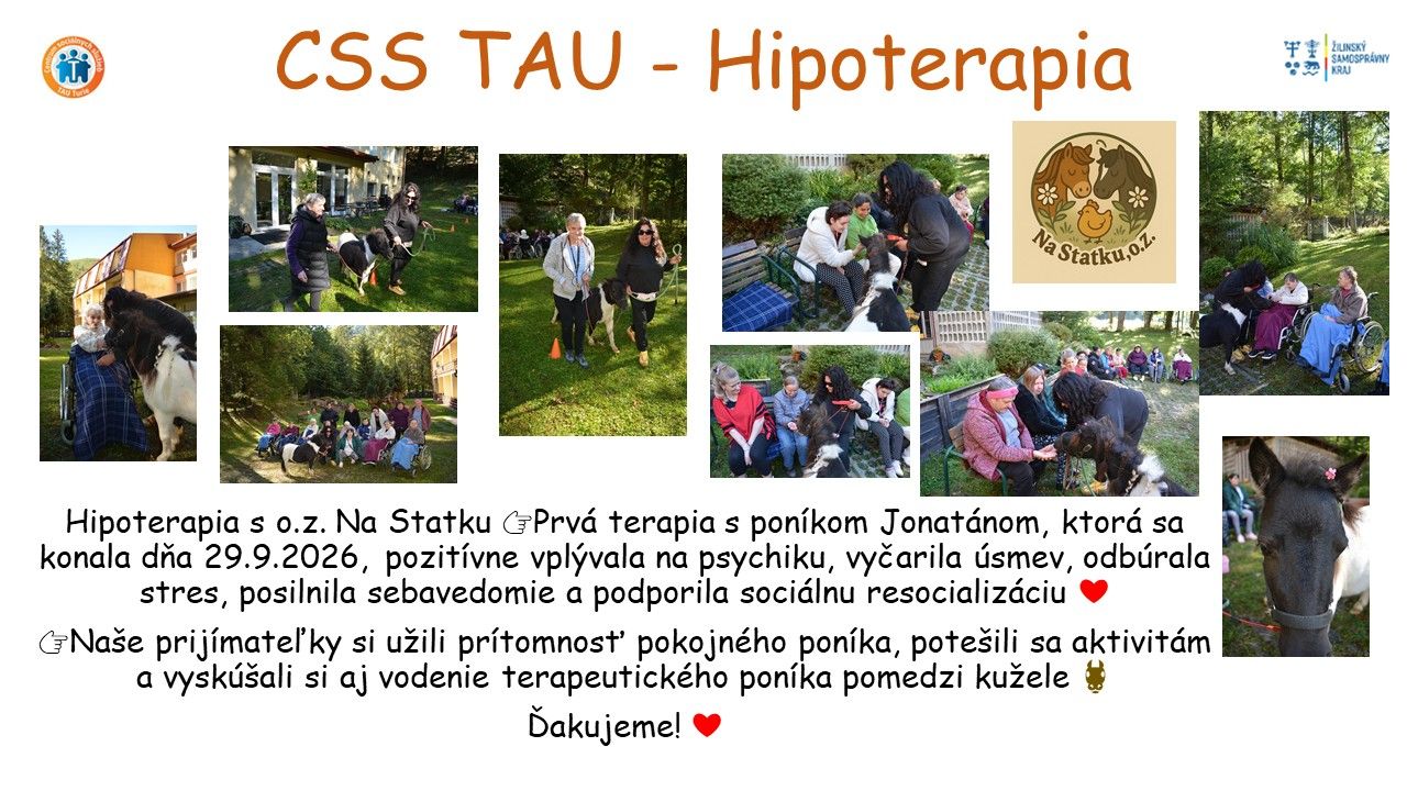 css tau hipoterapia.jpg
